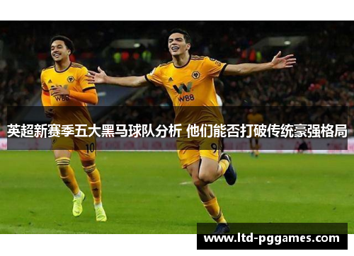 英超新赛季五大黑马球队分析 他们能否打破传统豪强格局