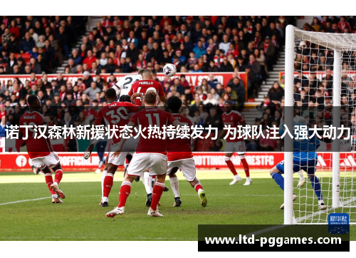 诺丁汉森林新援状态火热持续发力 为球队注入强大动力