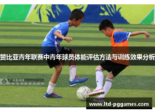 赞比亚青年联赛中青年球员体能评估方法与训练效果分析