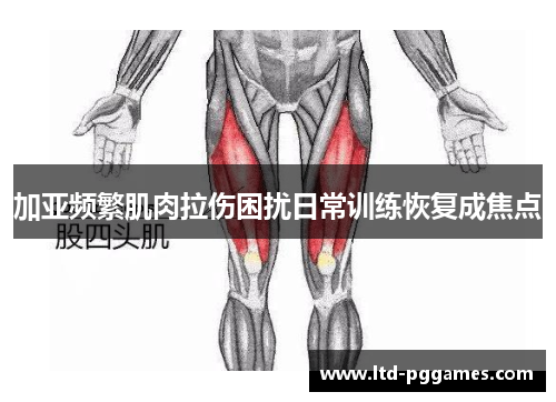 加亚频繁肌肉拉伤困扰日常训练恢复成焦点