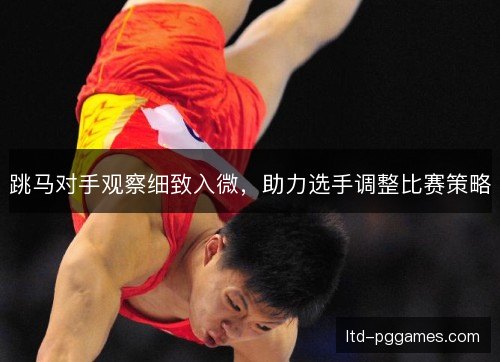 跳马对手观察细致入微,助力选手调整比赛策略 跳马对手观察细致入微,助力选手调整比赛策略